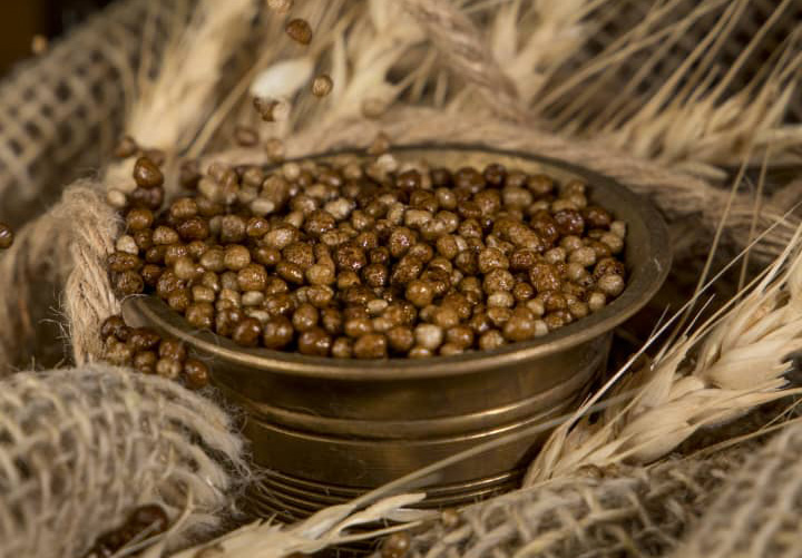 السماد الذكي بطيء التحرر - صورة 1