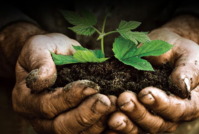 eqo.x Technology - Fully biodegradable coating